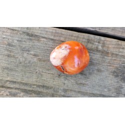 Galet de Cornaline 72grs