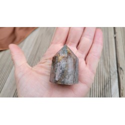 Pointe en Lodolite ou Quartz Chamane (Garden) 46mm 62grs