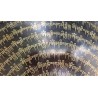 Gong Tibétain 7 métaux 3390grs 51.2cm