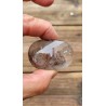 Galet en Lodolite Quartz Chamane 61grs