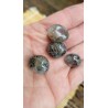 50grs de Galets en Quartz Chamane Lodolite