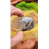 Galet en Quartz Chamane Lodolite 92grs 62mm