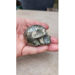 Crâne en Pyrite 5.5cm