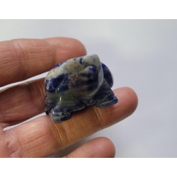 Tortue en Sodalite  5cm