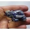 Tortue en Sodalite  5cm