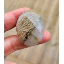 Galet en Quartz Chamane Lodolite 38grs