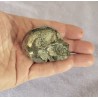 Crâne en Pyrite 220grs 5.5cm