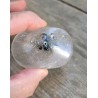 Galet en Quartz Chamane Lodolite  72grs 58mm