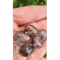 29grs de Galets en Quartz Chamane Lodolite