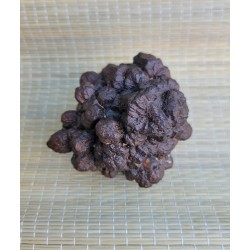 Très rare Pierre de prophétie 292grs