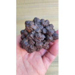 Très rare Pierre de prophétie 292grs