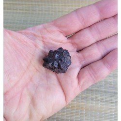 Pierre de prophétie 25.6grs