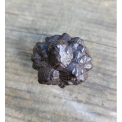 Pierre de prophétie 24grs