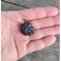 Pierre de prophétie 24grs