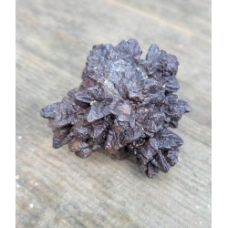 Très rare Pierre de prophétie 163grs
