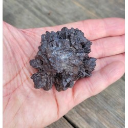 Très rare Pierre de prophétie 163grs