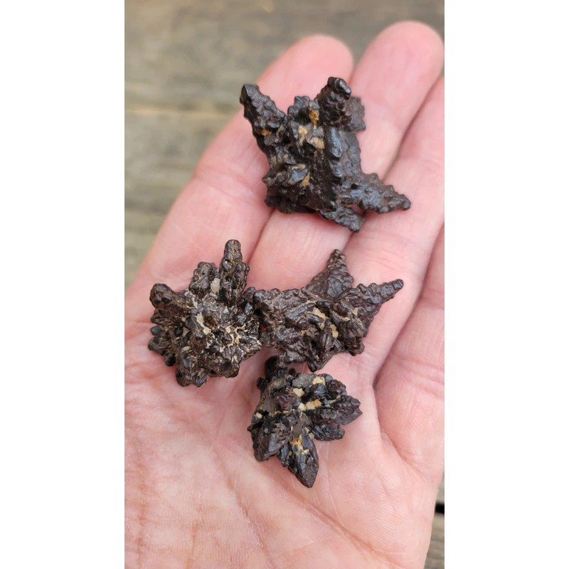 Lot de 6 Pierres de prophétie 74grs