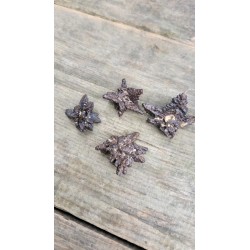 Lot de 6 Pierres de prophétie 74grs