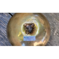 Bol chantant Tibétain 7 métaux 1470grs