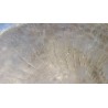 Gong Antique Indien 7 métaux 36.2cm 1025grs
