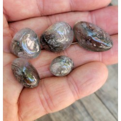 29grs de Galets en Quartz Chamane Lodolite