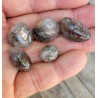 29grs de Galets en Quartz Chamane Lodolite