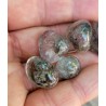29grs de Galets en Quartz Chamane Lodolite