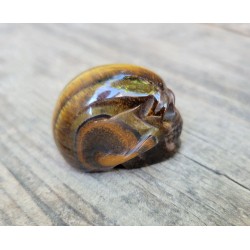 Crane en Oeil de Tigre