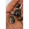 50grs de Galets en Quartz Chamane Lodolite