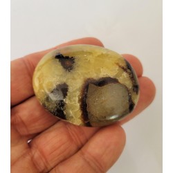 Galet en Septaria