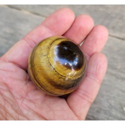 Sphère en Œil de Tigre 45mm 129grs