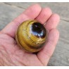 Sphère en Œil de Tigre 45mm 129grs