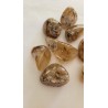 Lot de 100grs de Quartz Rutile polis