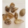 Lot de 100grs de Quartz Rutile polis