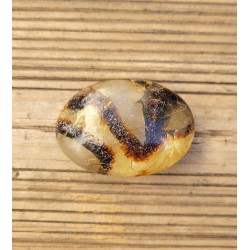 Galet en Septaria 50grs 4.8cm